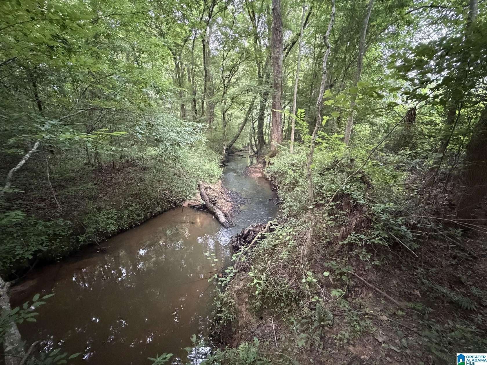 110 Acres of Recreational & Residential Land for Sale in Heflin, Alabama