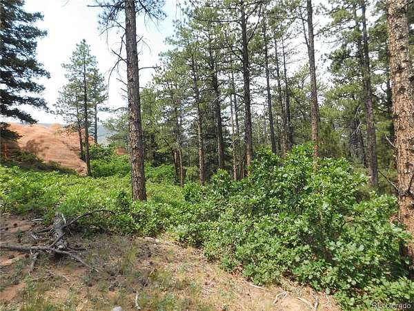 1 Acre of Residential Land for Sale in Larkspur, Colorado
