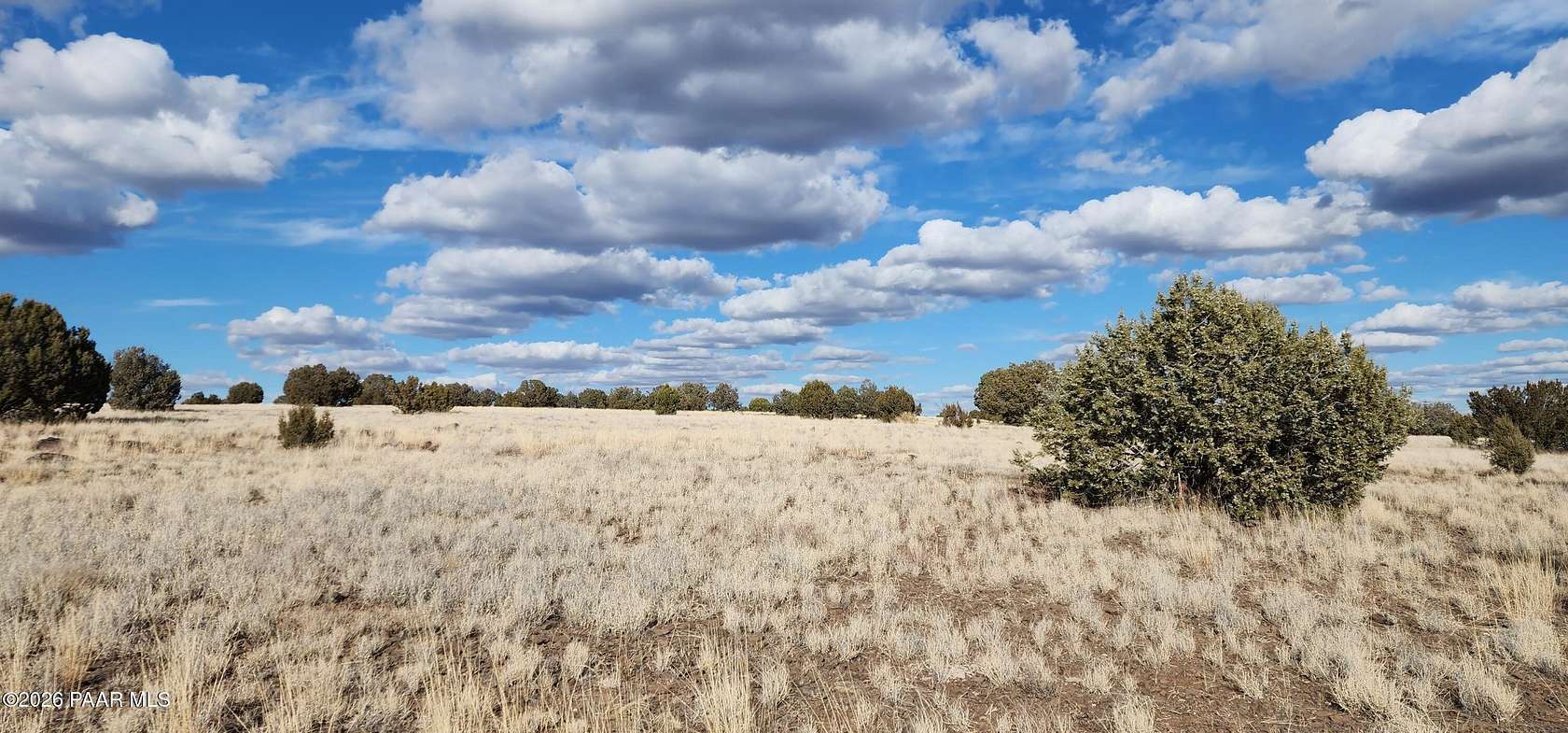 10 Acres of Recreational & Residential Land for Sale in Ash Fork, Arizona