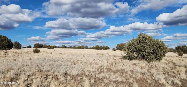 10 Acres of Recreational & Residential Land for Sale in Ash Fork, Arizona