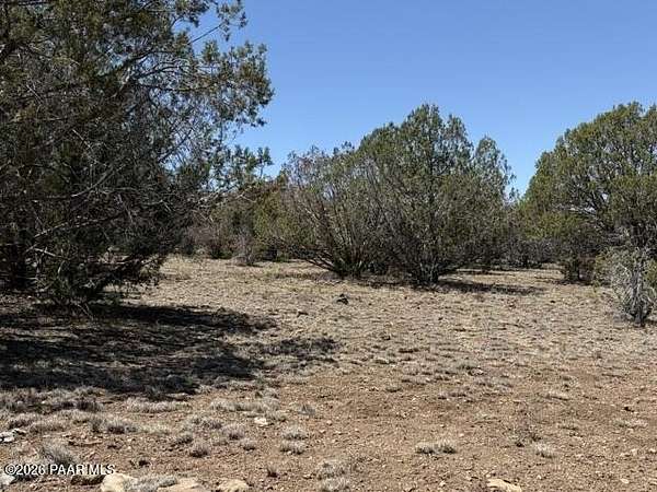 10 Acres of Recreational Land for Sale in Seligman, Arizona