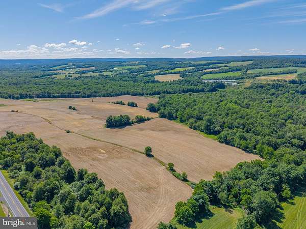 42.9 Acres of Land for Auction in Sunbury, Pennsylvania