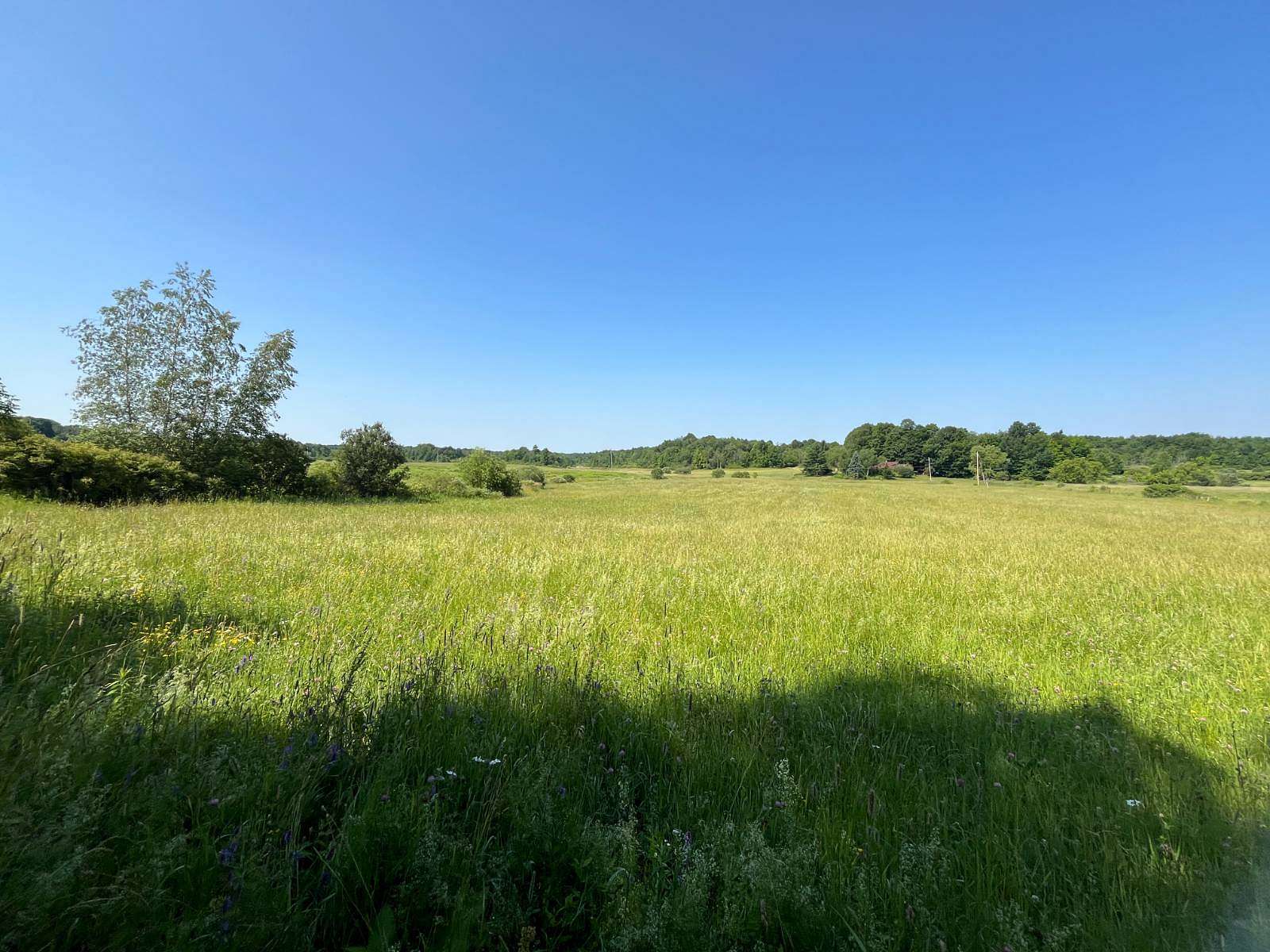 11.5 Acres of Recreational & Residential Land for Sale in Antwerp, New York