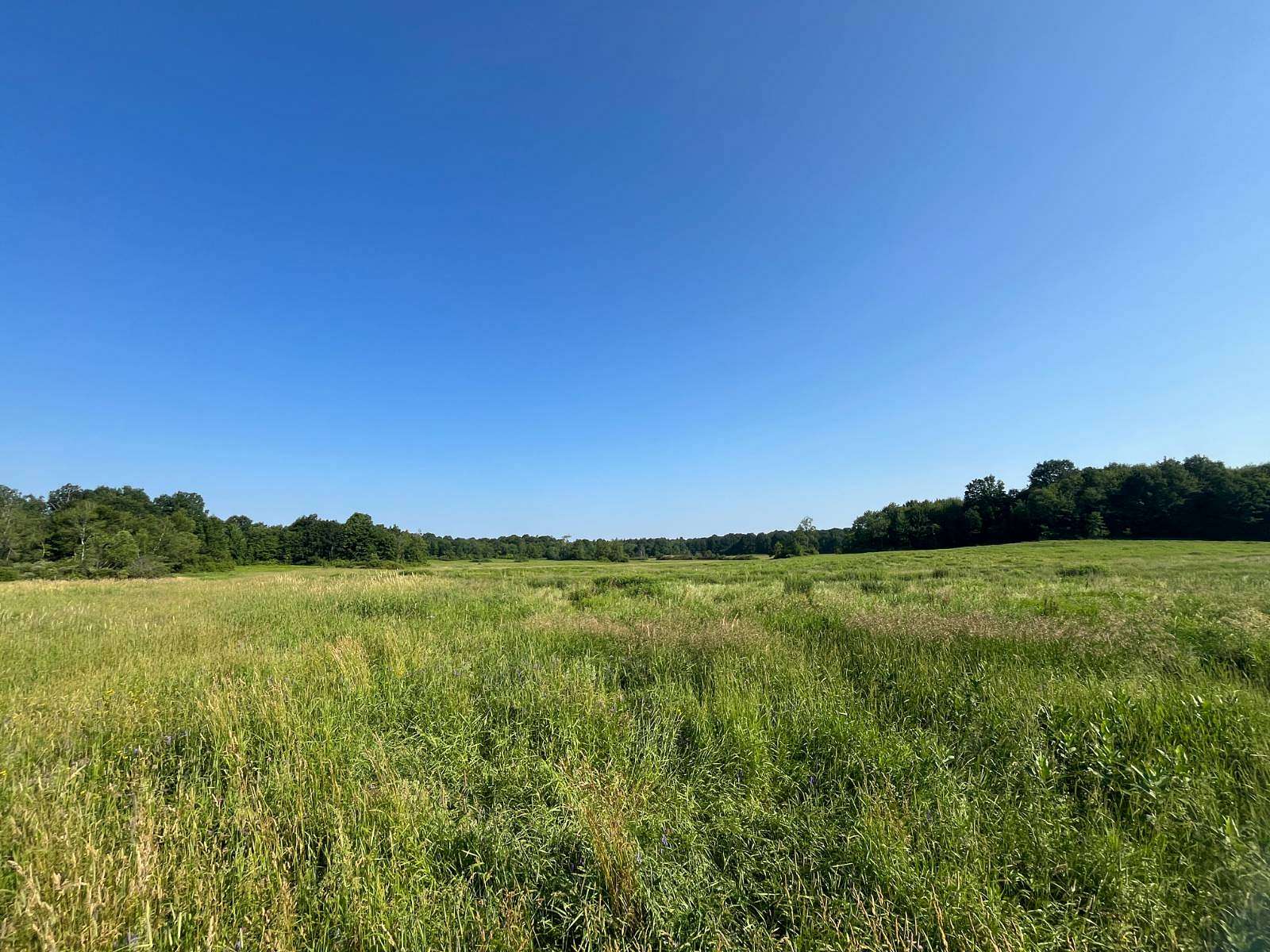 11.3 Acres of Recreational & Residential Land for Sale in Antwerp, New York