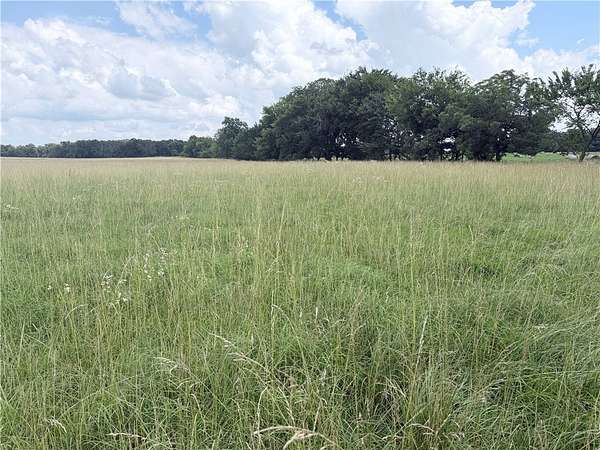 41.5 Acres of Land for Sale in Maysville, Arkansas