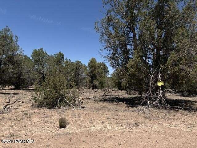10 Acres of Recreational Land for Sale in Seligman, Arizona