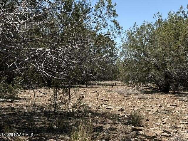 10 Acres of Recreational Land for Sale in Seligman, Arizona