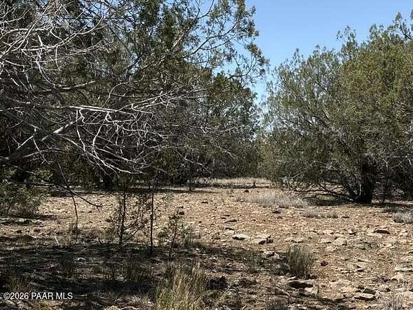 10 Acres of Recreational Land for Sale in Seligman, Arizona