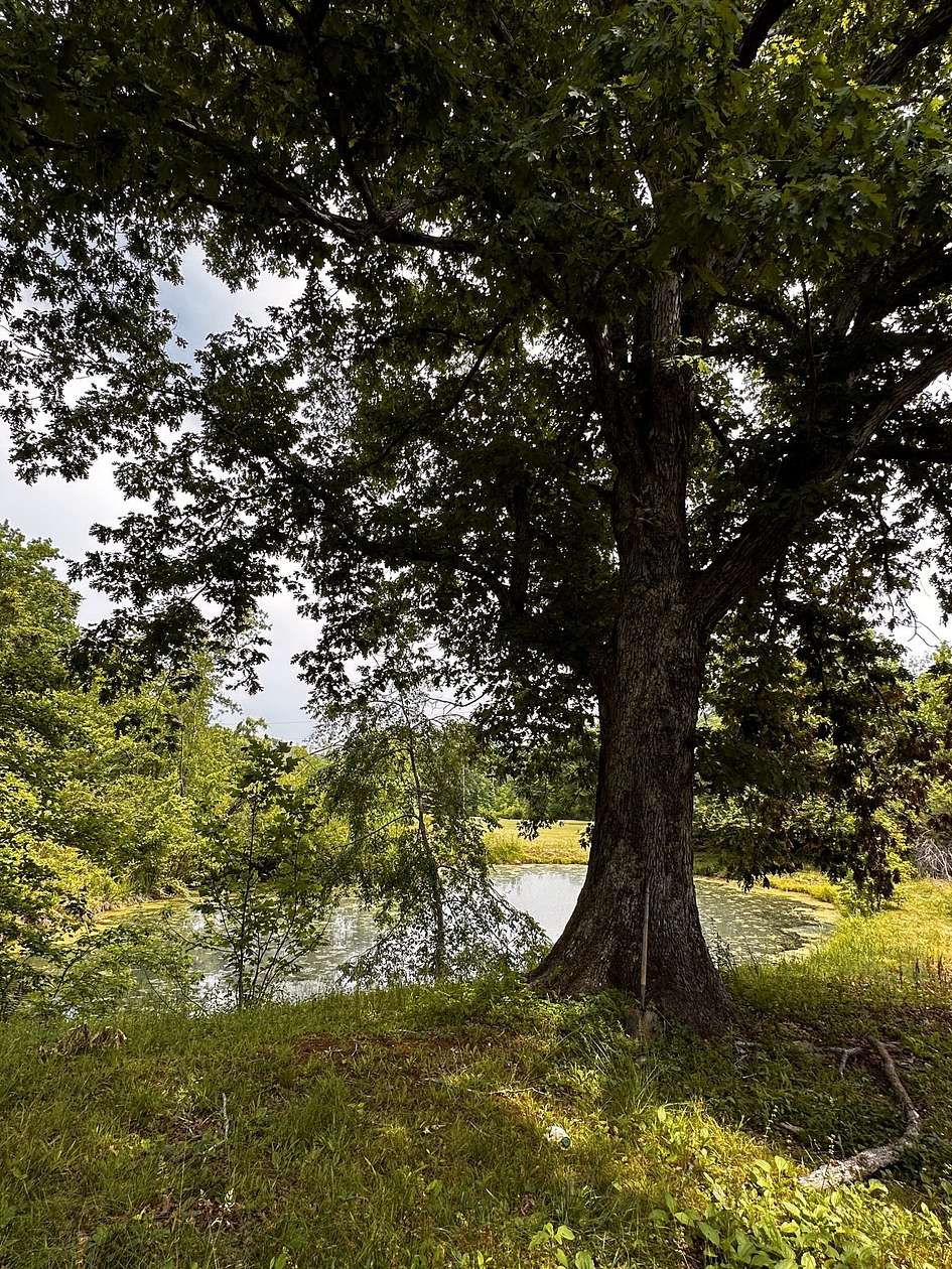6.26 Acres of Residential Land for Sale in Hohenwald, Tennessee
