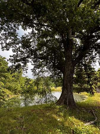 6.26 Acres of Residential Land for Sale in Hohenwald, Tennessee