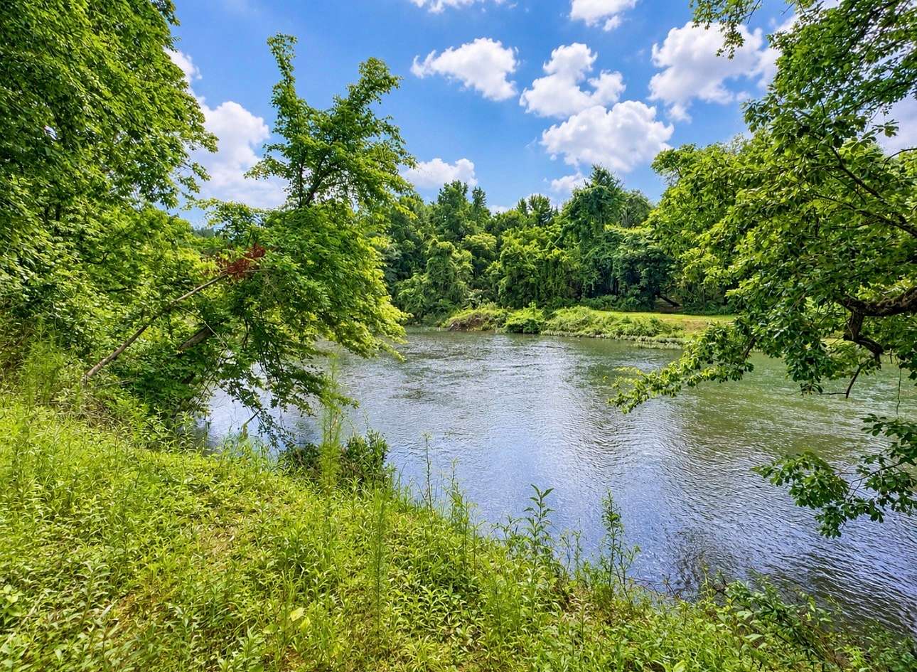22 Acres of Land for Sale in Clifton, Tennessee