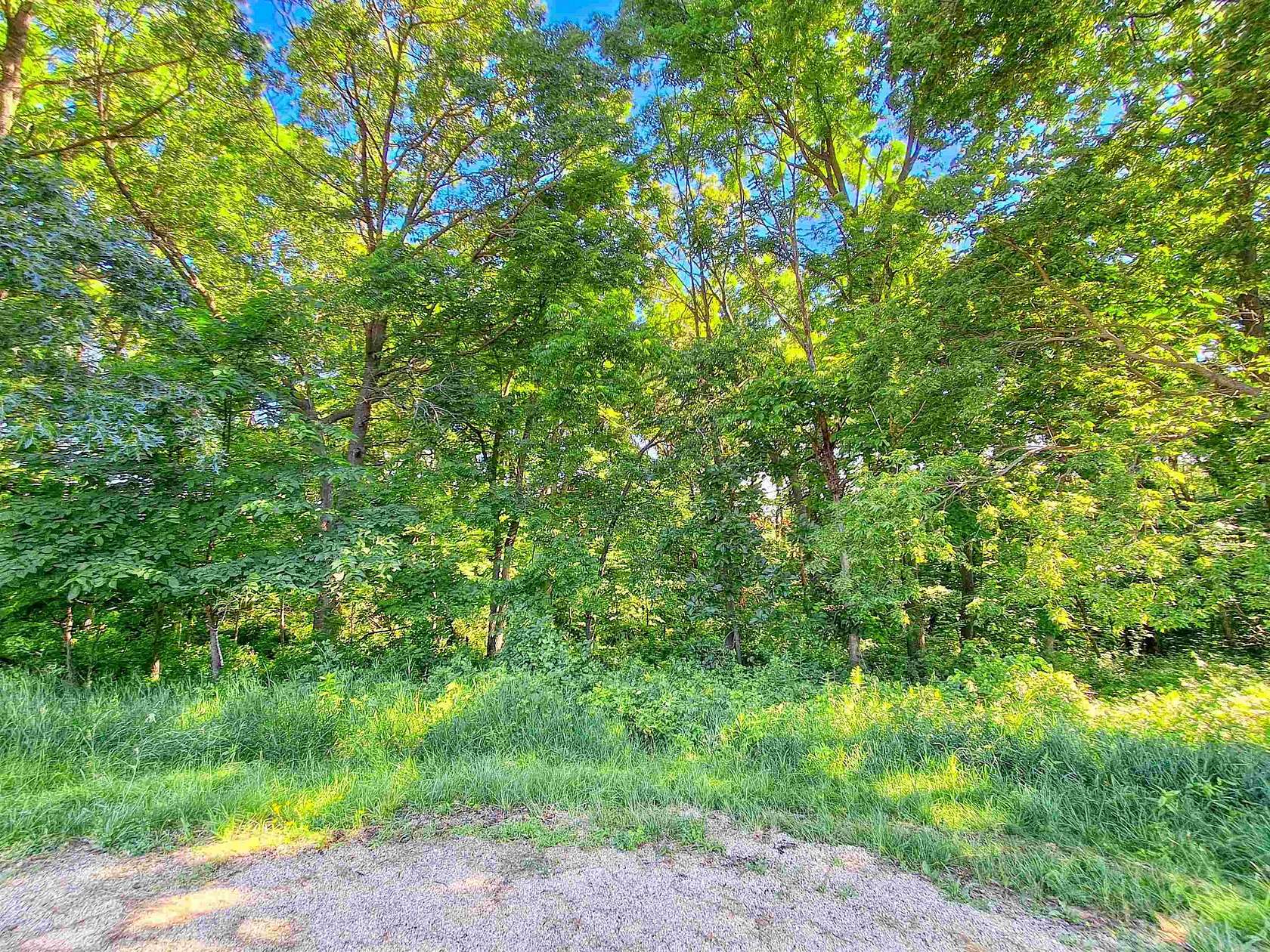 0.55 Acres of Residential Land for Sale in Freedom Township, Illinois