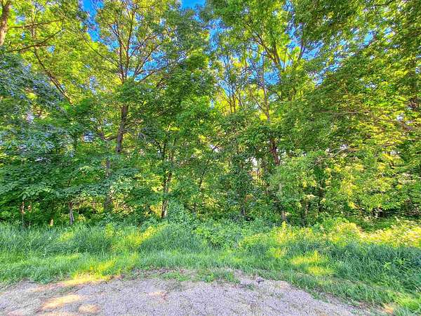 0.55 Acres of Residential Land for Sale in Freedom Township, Illinois