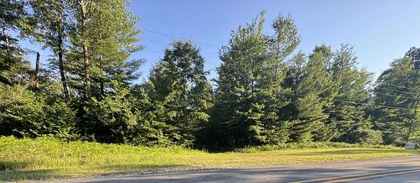 10 Acres of Recreational & Residential Land for Sale in Luther, Michigan