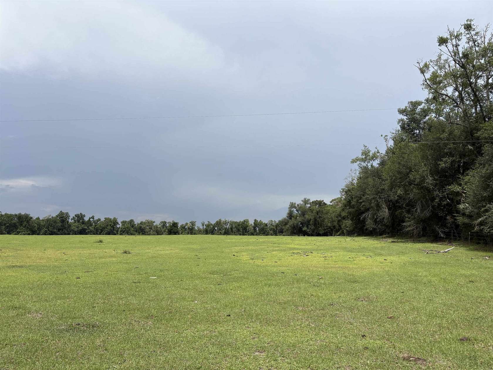 27.3 Acres of Land for Sale in Jasper, Florida