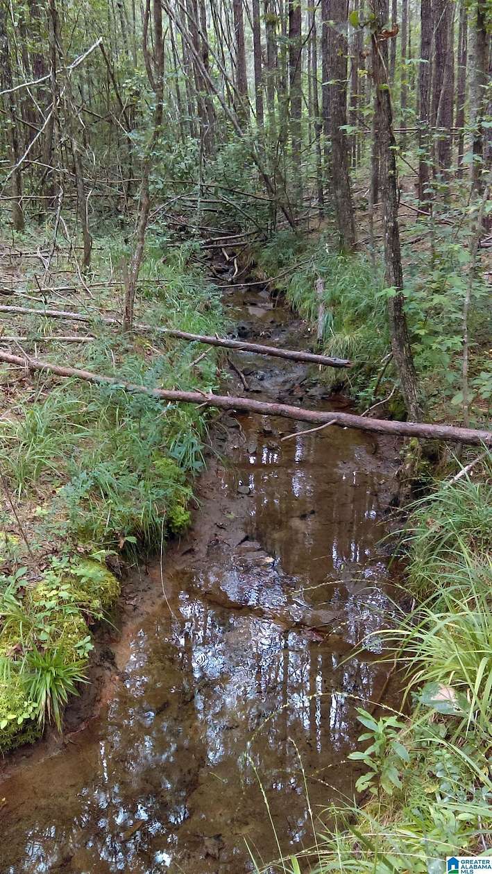 24 Acres of Recreational & Residential Land for Sale in Pell City, Alabama