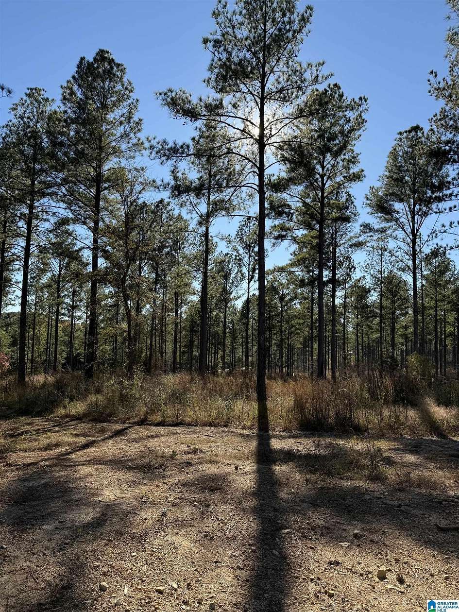 5.7 Acres of Land for Sale in Munford, Alabama