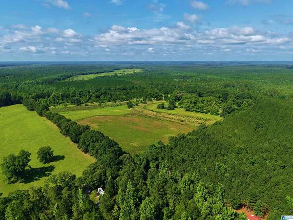 40.8 Acres of Land for Sale in Bay Minette, Alabama