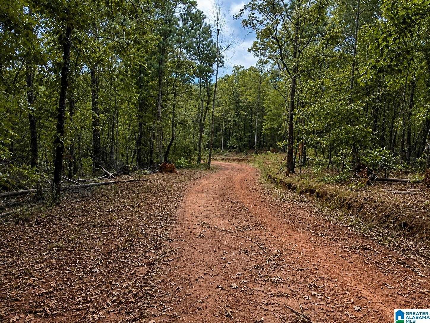 67.5 Acres of Recreational Land for Sale in Delta, Alabama