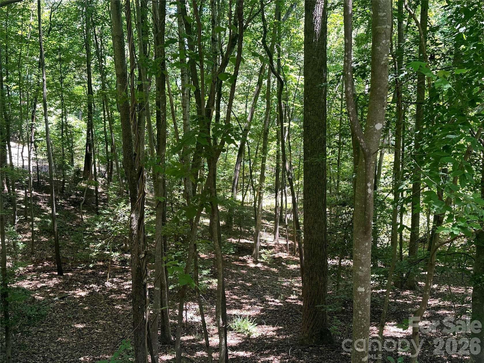 0.84 Acres of Residential Land for Sale in Lake Lure, North Carolina