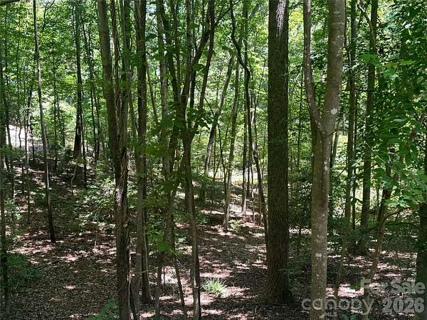 0.84 Acres of Residential Land for Sale in Lake Lure, North Carolina