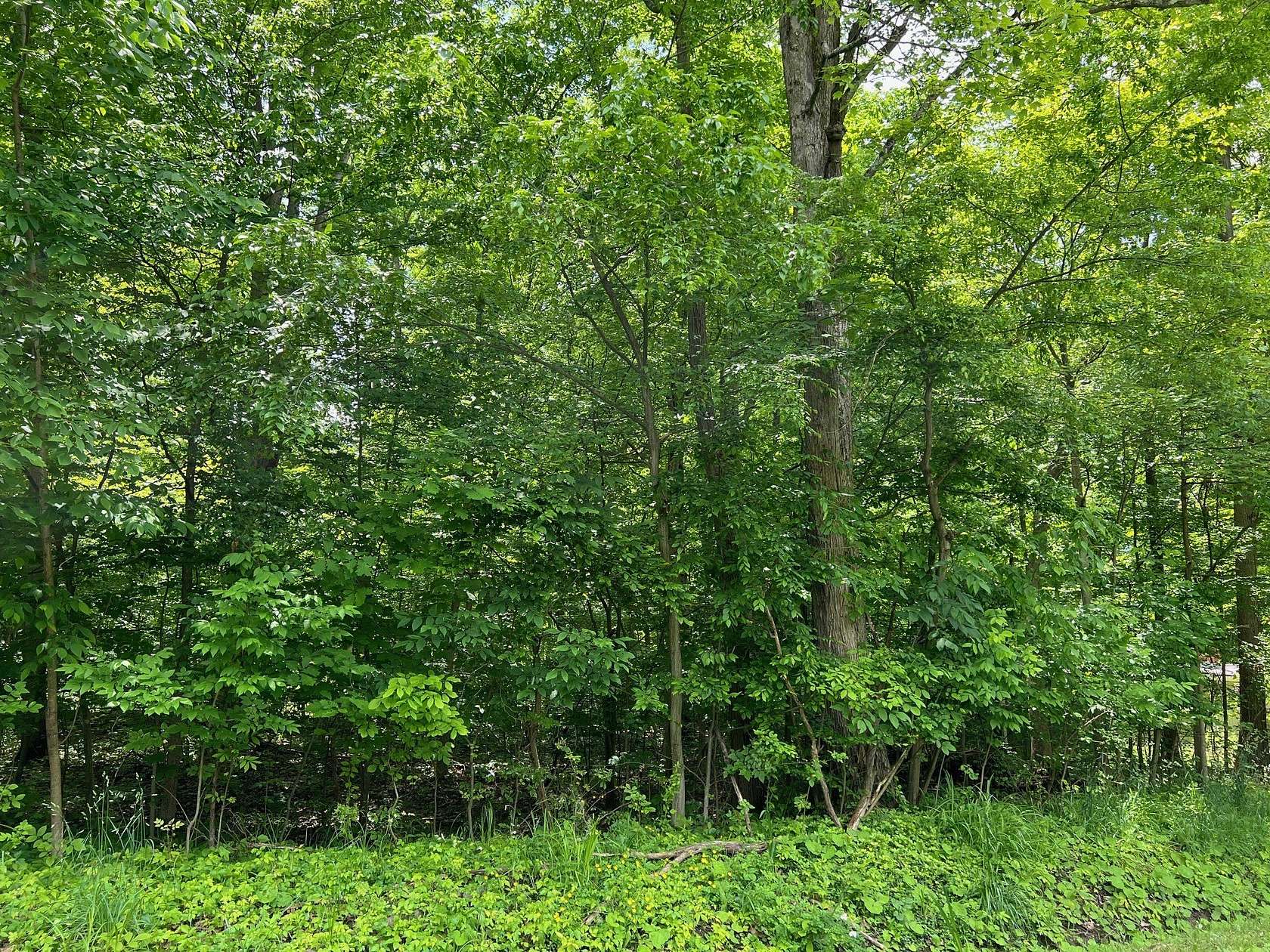 Residential Land for Sale in Jamestown, Pennsylvania