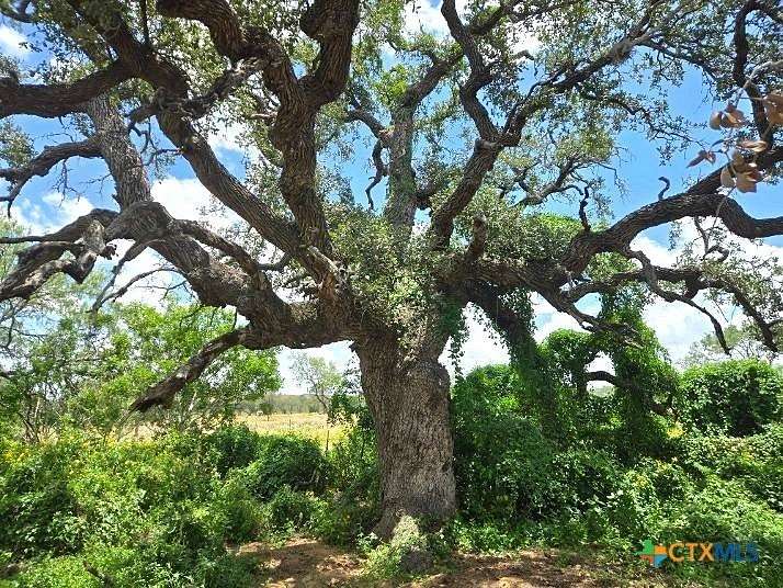 10.3 Acres of Recreational & Residential Land for Sale in Gillett, Texas
