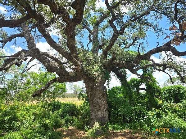 10.3 Acres of Recreational & Residential Land for Sale in Gillett, Texas