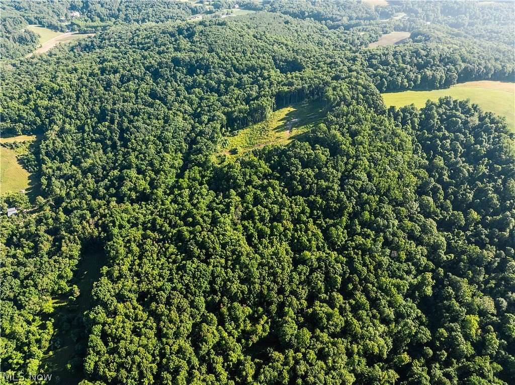40.3 Acres of Recreational & Residential Land for Auction in Millersburg, Ohio