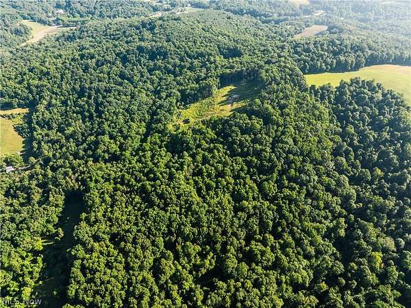40.3 Acres of Recreational & Residential Land for Auction in Millersburg, Ohio