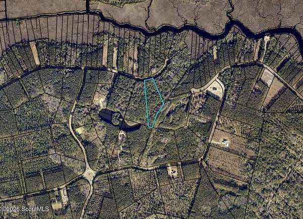 4.6 Acres of Residential Land for Sale in Waverly, Georgia