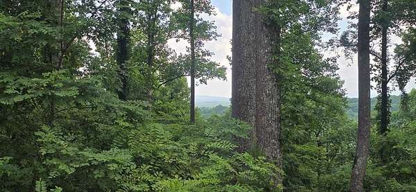 1 Acre of Residential Land for Sale in Blairsville, Georgia