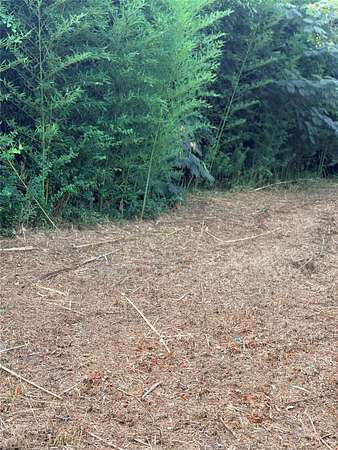 0.1 Acres of Land for Sale in Shreveport, Louisiana