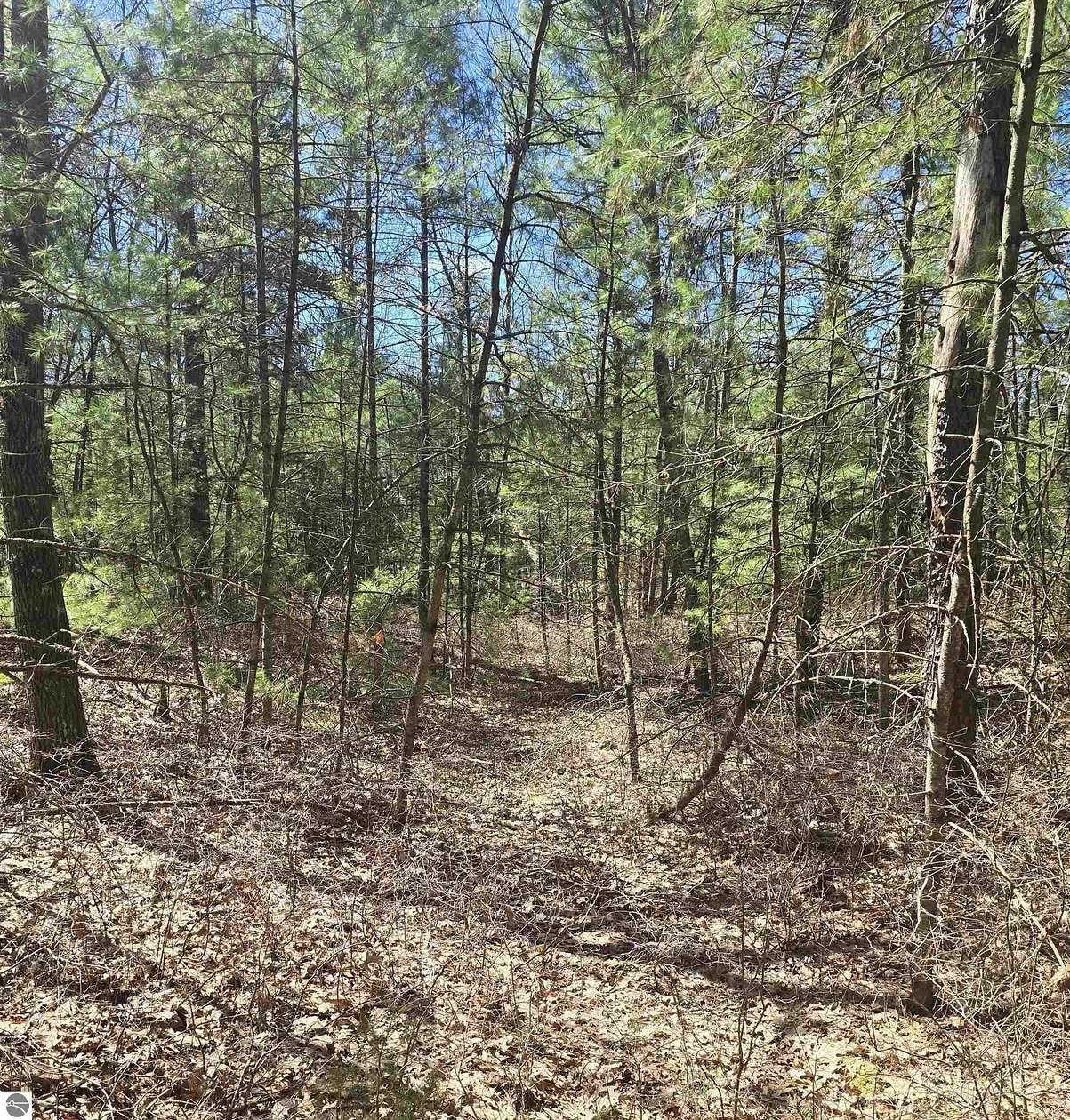 0.34 Acres of Residential Land for Sale in Oscoda, Michigan