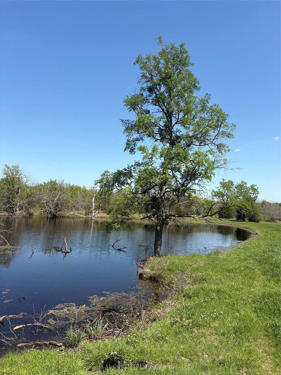 70 Acres of Land for Sale in Sulphur Springs, Texas