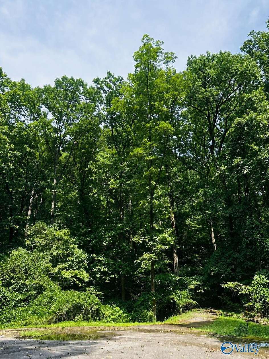 3.2 Acres of Residential Land for Sale in Gadsden, Alabama