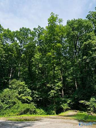 3.2 Acres of Residential Land for Sale in Gadsden, Alabama