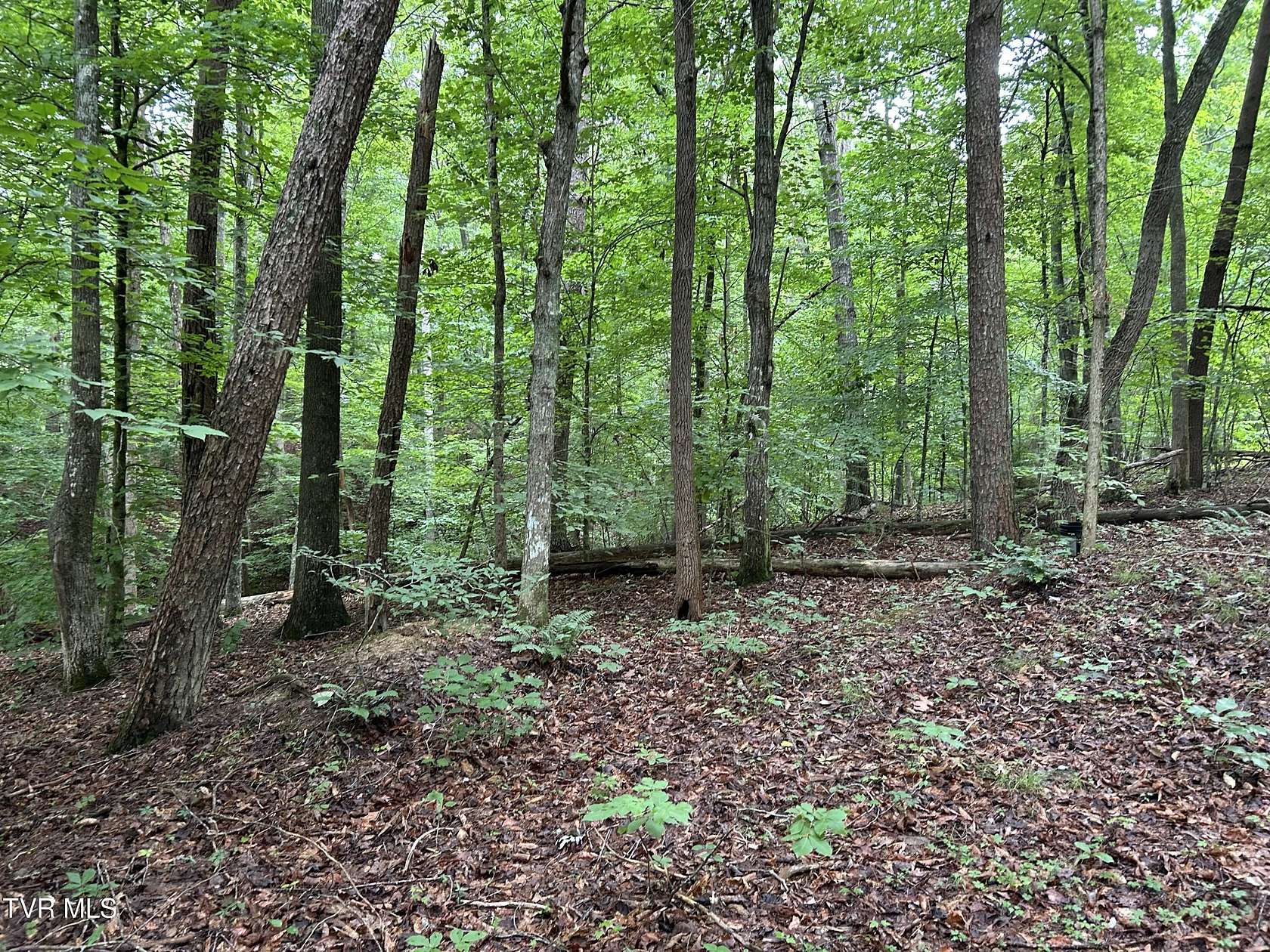 25.5 Acres of Recreational Land for Sale in Surgoinsville, Tennessee