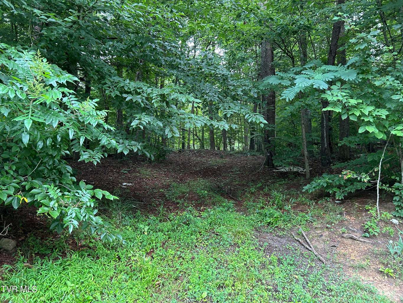 25.5 Acres of Land for Sale in Surgoinsville, Tennessee