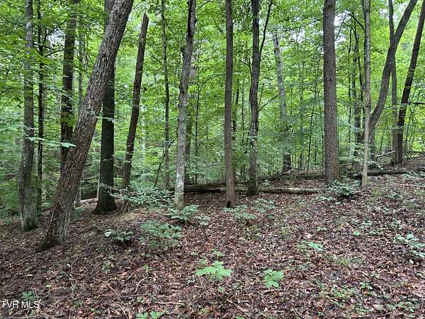 25.5 Acres of Recreational Land for Sale in Surgoinsville, Tennessee