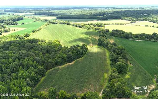 40 Acres of Land for Sale in Coldwater, Mississippi