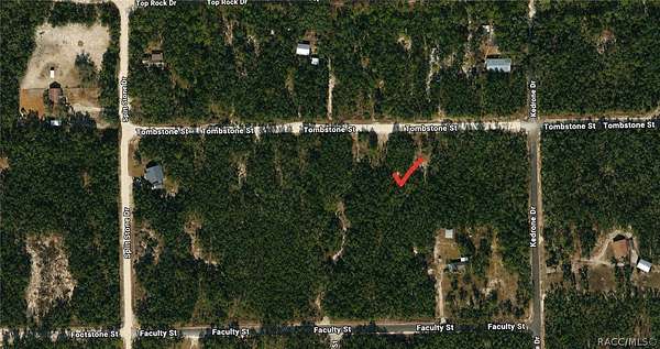 1.16 Acres of Residential Land for Sale in Webster, Florida
