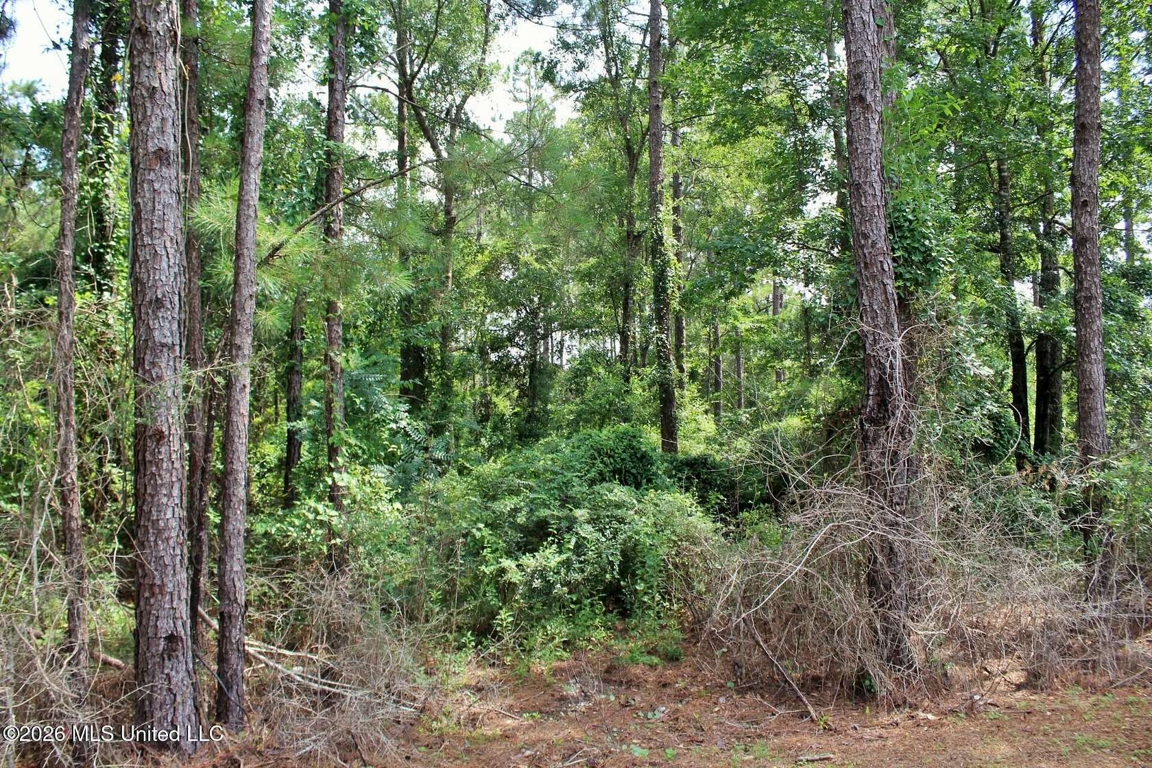 3.9 Acres of Residential Land for Sale in Vancleave, Mississippi