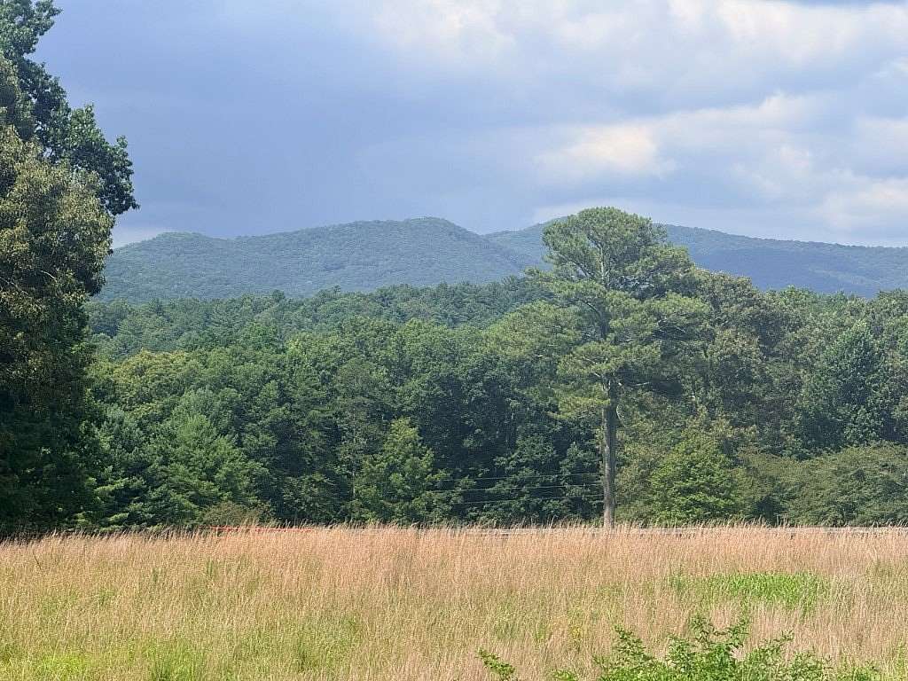 9.2 Acres of Land for Sale in Ellijay, Georgia