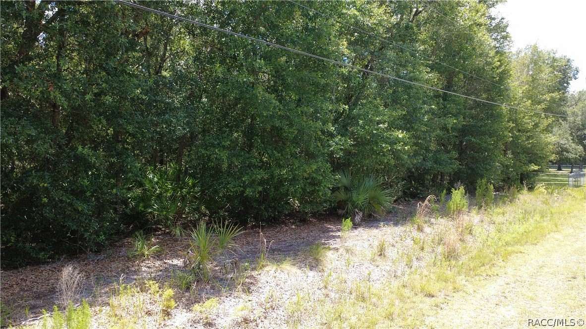1.16 Acres of Residential Land for Sale in Crystal River, Florida
