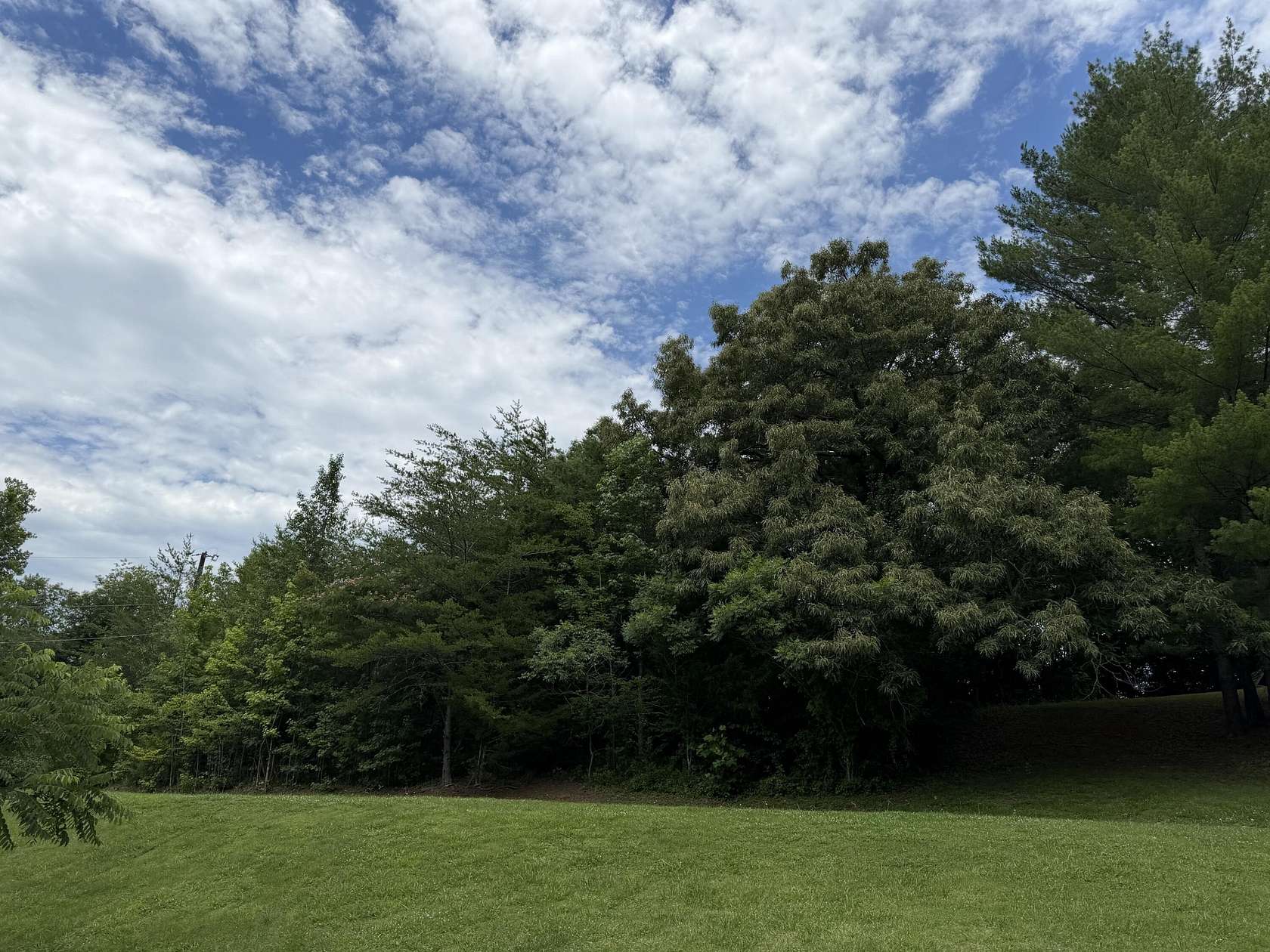 15.4 Acres of Land for Sale in Heidrick, Kentucky