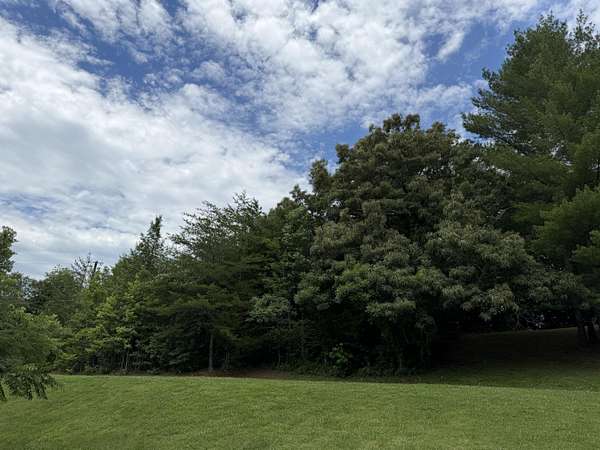 15.4 Acres of Land for Sale in Heidrick, Kentucky