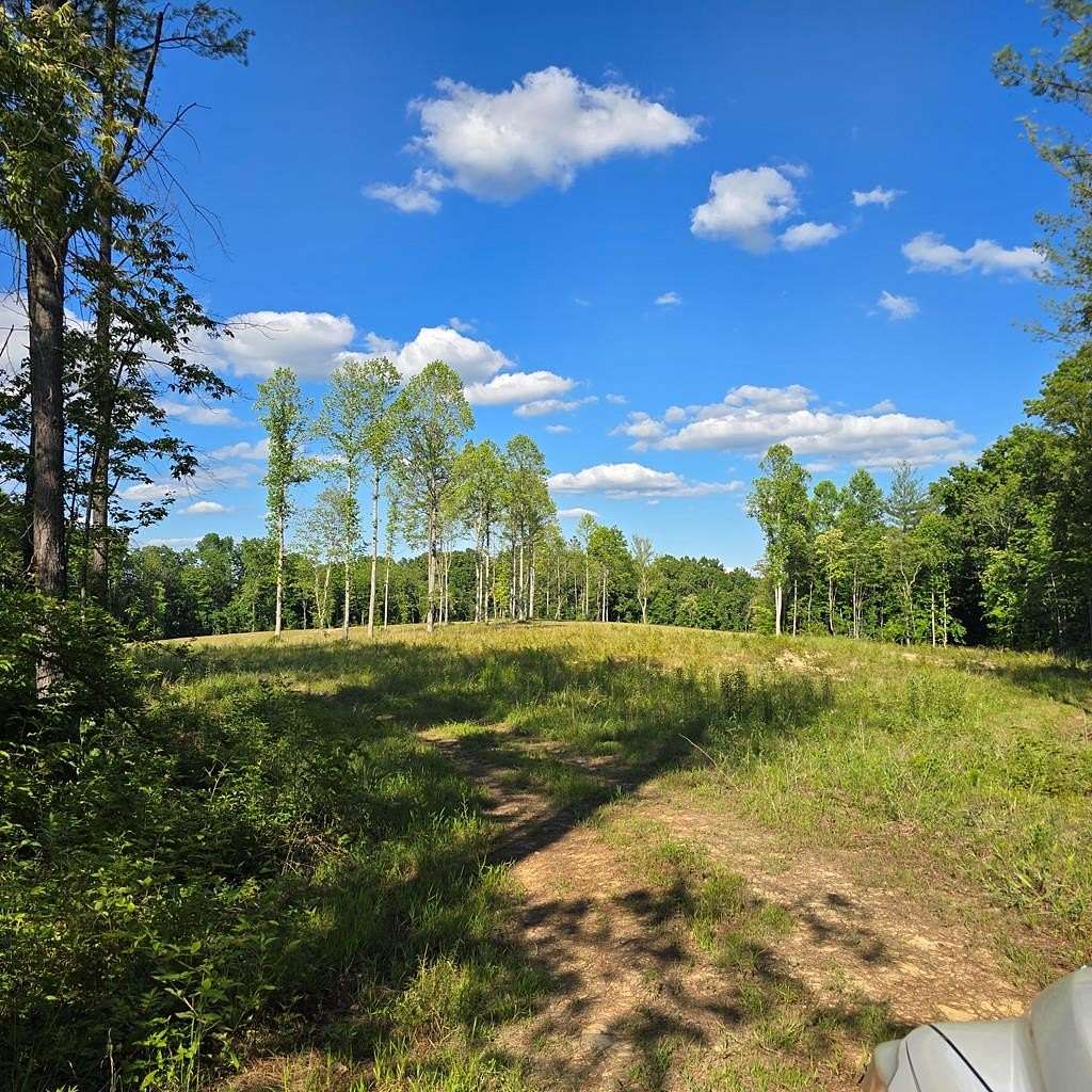 50 Acres of Agricultural & Residential Land for Sale in Sunbright, Tennessee