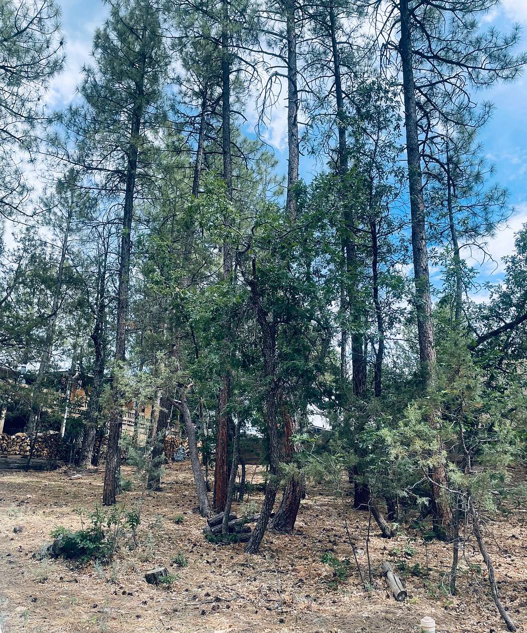 0.15 Acres of Residential Land for Sale in Pinetop, Arizona