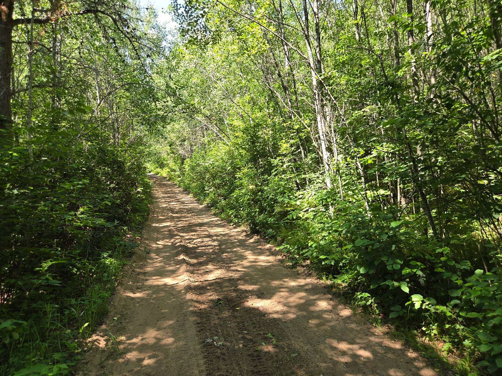19.7 Acres of Recreational & Residential Land for Sale in Tomahawk, Wisconsin